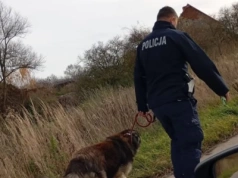 Pies pilnował swego pana, który leżał na ziemi