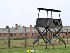 Niemiecki dziennik o aukcji dokumentów z Holokaustu. "Bulwersujący przypadek"