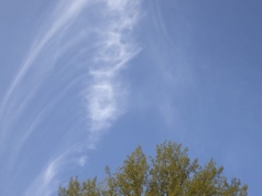 GIOŚ: jakość powietrza w Polsce w ostatnich latach istotnie się poprawiła