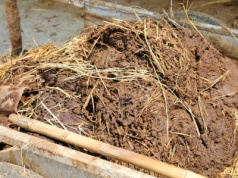 Rośliny rosną po nim jak na drożdżach, wystarczy wylać na grządki. Warto go dorzucić też do kompostu