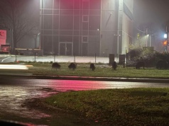 Wataha dzików przy KFC. Wadowice