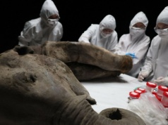 Wyizolowali najstarsze RNA świata. Olbrzym skrywał coś zaskakującego