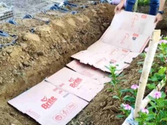 Kartony w ogrodzie rozwiązują wszystko: rozłóż je tak, a użyźnisz glebę