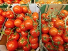Przebadali polskie pomidory z dyskontów. Oto co w nich wykryli