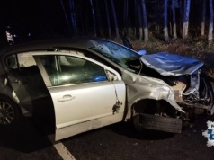 18-latek zderzył się z jeleniem. Dwie osoby trafiły do szpitala