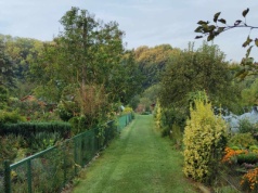 Kraków: rusza nabór wniosków o dotacje dla rodzinnych ogrodów działkowych