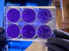 NASA odkryła bakterię, która potrafi udawać martwą. Znamy jej sekret