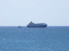 Horror na morzu. Tysiące krów uwięzione na statku z powodu biurokracji