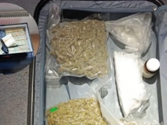 Ponad półtora kilograma narkotyków i kilkaset tysięcy złotych. Mieszkaniec Ciechanowa aresztowany