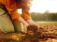 Zamiast wyrzucać, zakop to w ogrodzie. Rośliny będą ci wdzięczne