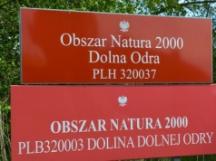 Jest "plan B" ws. Doliny Dolnej Odry. "Powiemy sprawdzam panu prezydentowi"