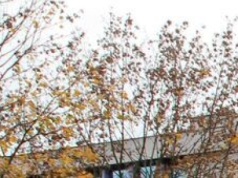 Jakie plany Puław na 2026 rok? Wydatki trzymane w ryzach