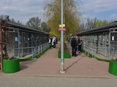 Psia stolica i kocie straże sanitarne – 100 tysięcy czworonożnych mieszkańców Warszawy