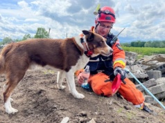 Czworonożny bohater w potrzebie – ludzie ruszyli z pomocą!