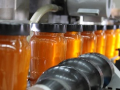 Ukraina zwiększa eksport miodu. Ponad 70 proc. produkcji trafiło do UE  