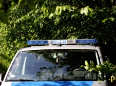 Zwykłe wyjście do lasu może skutkować dotkliwym mandatem. Większość Polaków nie ma o tym pojęcia