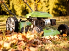 Zrób to z trawnikiem przed zimą. Inaczej wiosną zieleń będzie marna