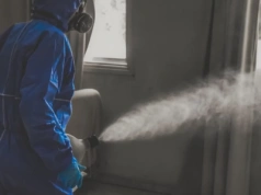 Skuteczna dezynsekcja w mieście