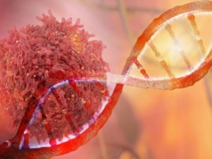 Przełom, który może na nowo zdefiniować walkę z rakiem — czy można „naprawić” komórkę rakową, zamiast ją niszczyć?