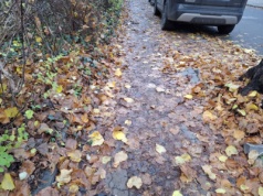 Uwaga na liście! Na osiedlu Kościuszki w Świeciu można się na nich „przejechać"