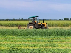 Restrukturyzacja zadłużenia gospodarstw rolnych: jak działa przejmowanie długów przez KOWR?