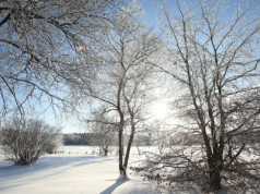 IMGW ostrzega Polaków. Nadciągają mróz i intensywne opady śniegu