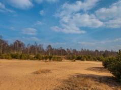Agrobex z kolejnym kontraktem dla wojska. Zbuduje pod Poznaniem magazyny środków bojowych