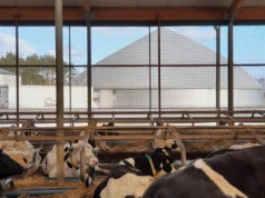 Jak biogazownia wpływa na podniesienie rentowności produkcji mleka?
