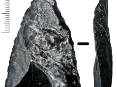„Chcemy zbadać, kiedy Neandertalczyk mieszkał w okolicach Radomia i Zwolenia”