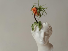 Nie jestem wielkim fanem generowania obrazów w AI, ale jeśli zmiecie to płatne pseudoaplikacje do edycji zdjęć, to jestem za