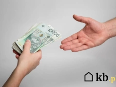 Na pieniądze z Czystego Powietrza czekała 10 miesięcy. 