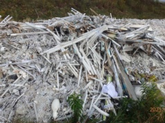 10 ton jarzeniówek wyrzuconych na polu. Koszty będą potężne