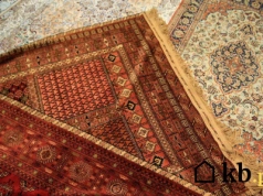 Twoje dywany mogą wyglądać jak nowe w kilka godzin! Ten trik robi furorę