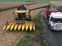 Rolnicy mówią wprost: kukurydza mokra po 420 zł/t to dramat. Koszty WIR pokazują skalę problemu