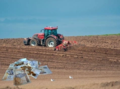 KOWR sprzeda ponad 110 ha ziemi. Gdzie i za ile?