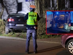 Pijany kierowca o mało nie potrącił kobiety z dzieckiem. Chciał pobić świadków, rzucił się na policjantów