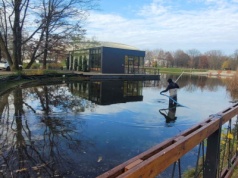 Dlaczego ten krakowski staw trzeba było oczyścić? ZZM wyjaśnia