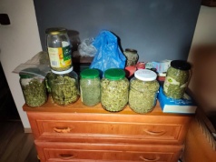 Demolował auta pod wpływem alkoholu. 37-latek zatrzymany