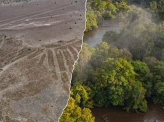 Odkrycie w Amazonii. Naukowcy zidentyfikowali ogromne struktury