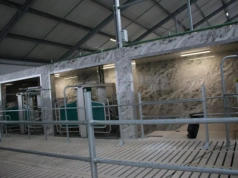 Postawili oborę przyszłości w 11 miesięcy. Będzie aż 6 robotów udojowych