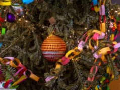 Choinka z lasu. Oto ile kosztuje w nadleśnictwie