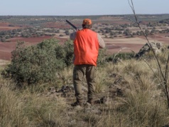 Myśliwy strzelił w okno domu, gdzie była matka z dzieckiem. Śledztwo trwa