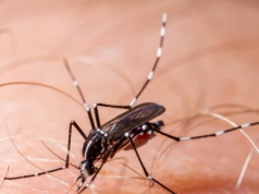 Epidemia zakaźnej choroby wymknęła się spod kontroli. Tysiące chorych