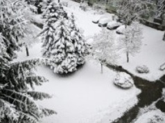 Pół tysiąca interwencji strażaków. Atak zimy na Podkarpaciu