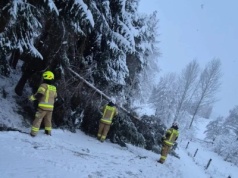 Atak zimy na Podkarpaciu: 75 tys. domów bez prądu, niemal 800 interwencji strażaków