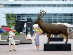 Tradycje plecionkarskie z Polski trafią na listę dziedzictwa UNESCO