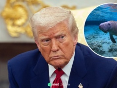 Odchodzą od ochrony zagrożonych gatunków. Nowa decyzja administracji Trumpa