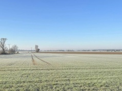Rekordowe wypłaty dla gospodarstw. Zaliczki już na kontach, pomoc dla Żuław na ostatniej prostej