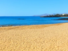 Młody jesiotr wyrzucony na brzeg. Kiedyś był królem wód