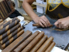 Dlaczego kubańskie cygara wciąż są symbolem luksusu? Świat dawno je dogonił